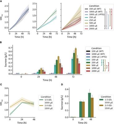 Impact of irradiance and inorganic carbon availability on heterologous sucrose production in Synechococcus elongatus PCC 7942